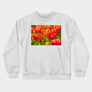 A full frame of tulips Crewneck Sweatshirt